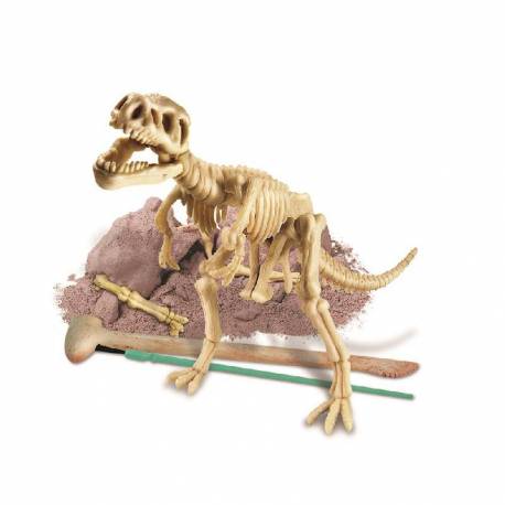 Excavación esqueleto de Tyrannosaurus Rex 4M Ciencia y medio ambiente