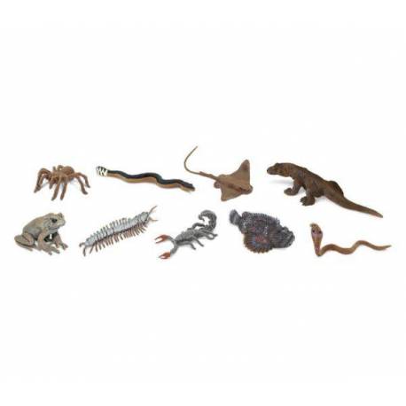 Roma antigua - Super toob