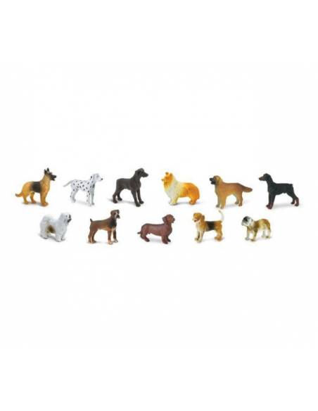 Roma antigua - Super toob