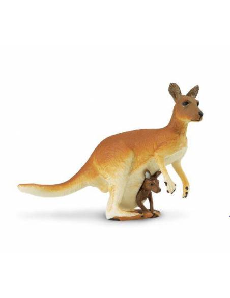 Canguro con cría