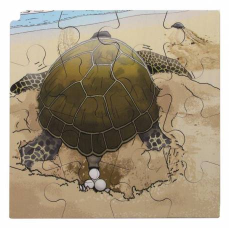 Puzzle Realidad Aumentada - Ciclo de la Tortuga Roylco Puzzles