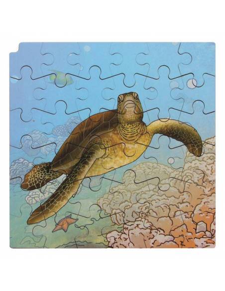 Puzzle Realidad Aumentada - Ciclo de la Tortuga  Puzzles