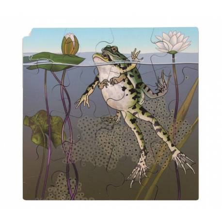 Puzzle Mariquitas y Orugas