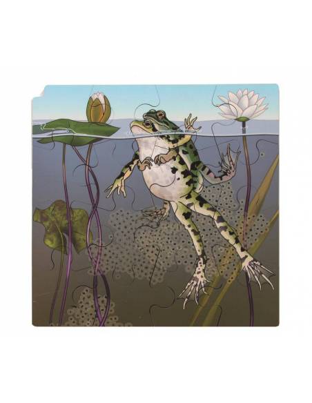 Puzzle Mariquitas y Orugas