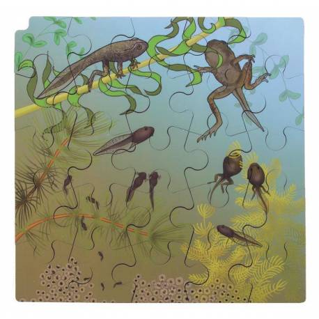 Puzzle Mariquitas y Orugas