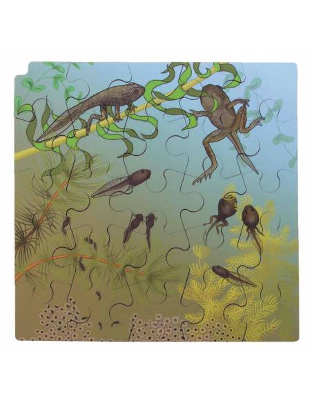 Puzzle Mariquitas y Orugas