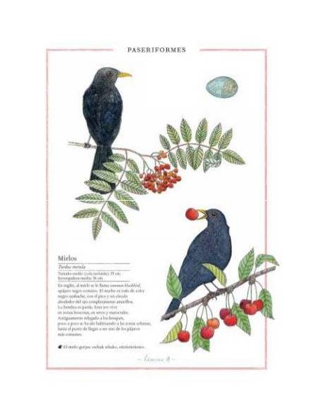 Inventario ilustrado de las aves  Libros con Imágenes Reales