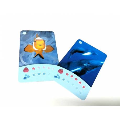 Bioviva - Cartas animales Marinos