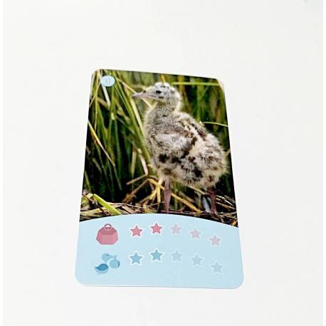 Bioviva - Cartas animales MAR Bebés Bioviva Juguetes