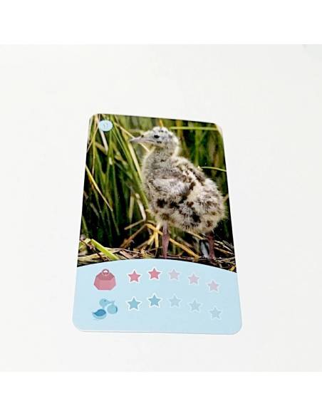 Bioviva - Cartas animales Marinos