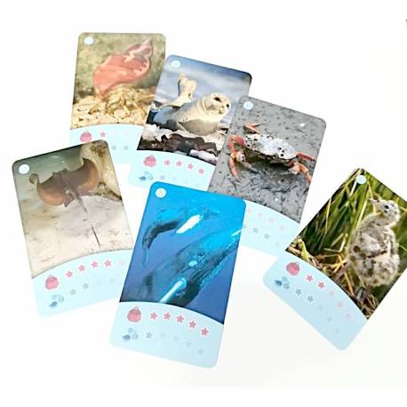 Bioviva - Cartas animales MAR Bebés Bioviva Juguetes