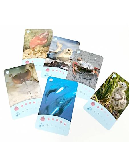 Bioviva - Cartas animales Marinos