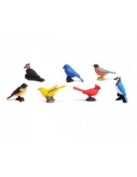Pájaros del jardín