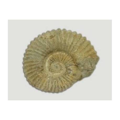 Colección  Minerales en estuche