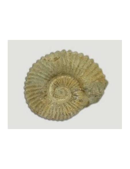 Colección  Minerales en estuche