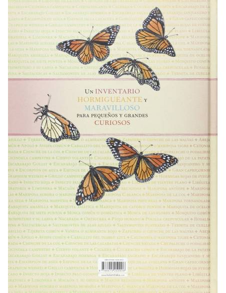 Inventario ilustrado de insectos  Libros con Imágenes Reales
