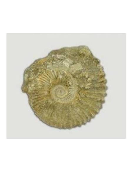 Colección  Minerales en estuche