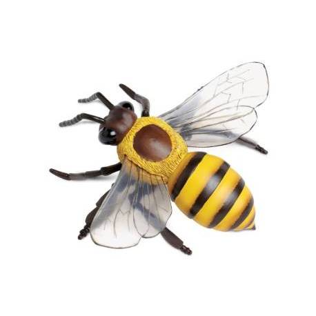 ABEJA