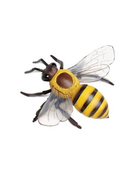 Abeja (grande)  Animales Grandes