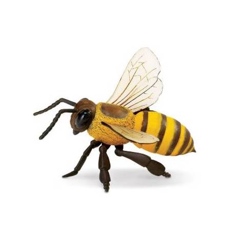 ABEJA