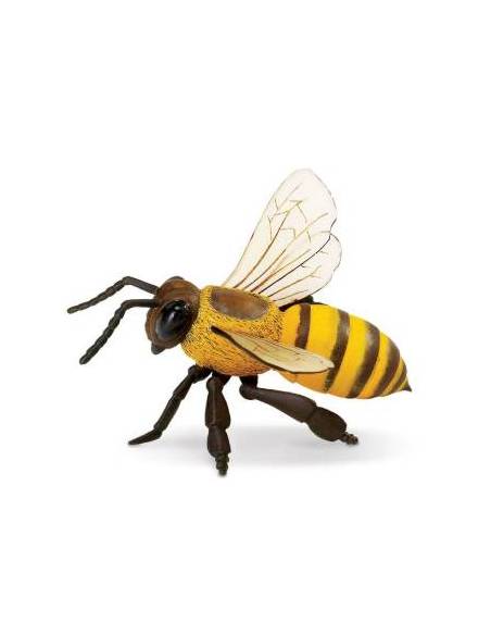 ABEJA