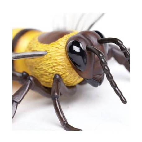 Abeja (grande)  Animales Grandes 2