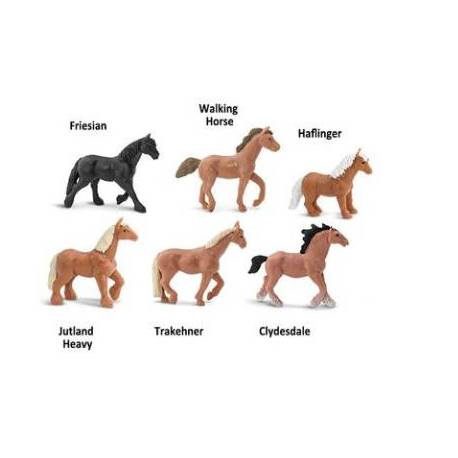 Roma antigua - Super toob