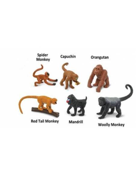 Roma antigua - Super toob