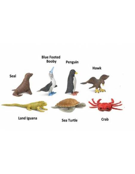 Roma antigua - Super toob