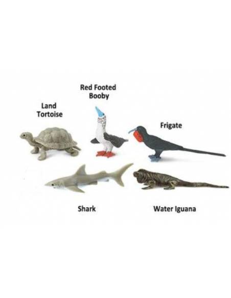 Roma antigua - Super toob