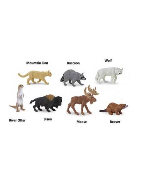 Norte América Safari LTD Toobs Animales