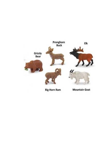 Roma antigua - Super toob