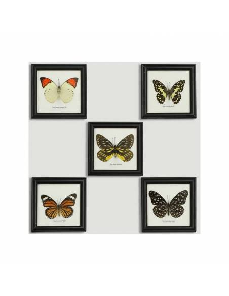 Marco mad Mariposa en algodón 12 x 12