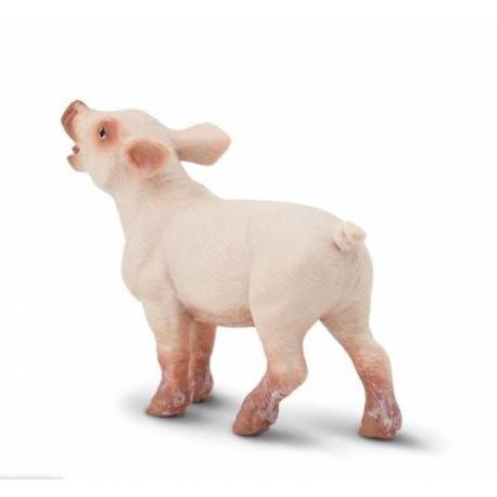 Lechón  Animales Grandes