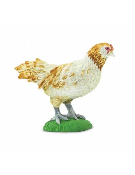 Gallina americana  Animales Grandes
