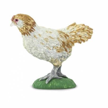 Gallina americana  Animales Grandes 2