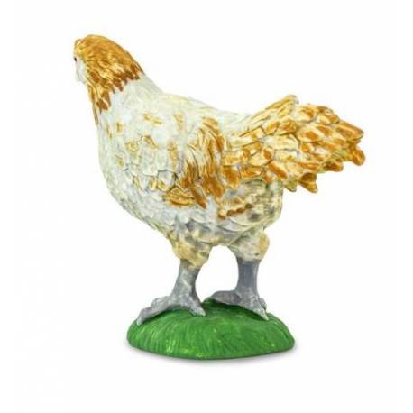 Gallina americana  Animales Grandes