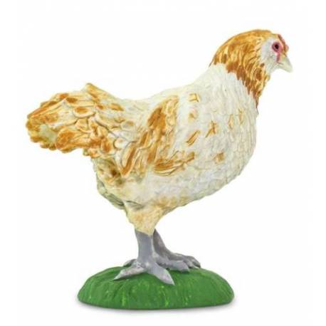 Gallina americana  Animales Grandes