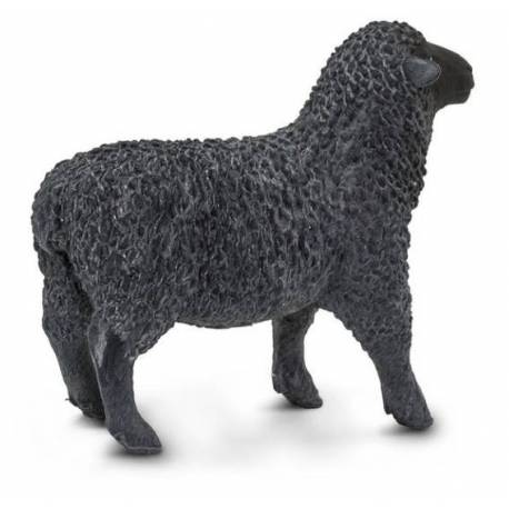 Oveja negra  Animales Grandes