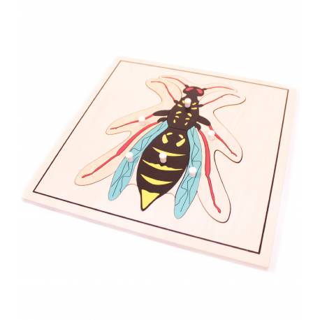Puzzle madera - Avispa Montessori para todos Botánica y Zoología