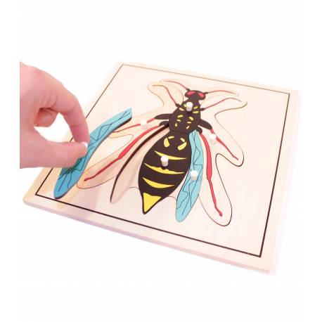 Puzzle madera - avispa 2