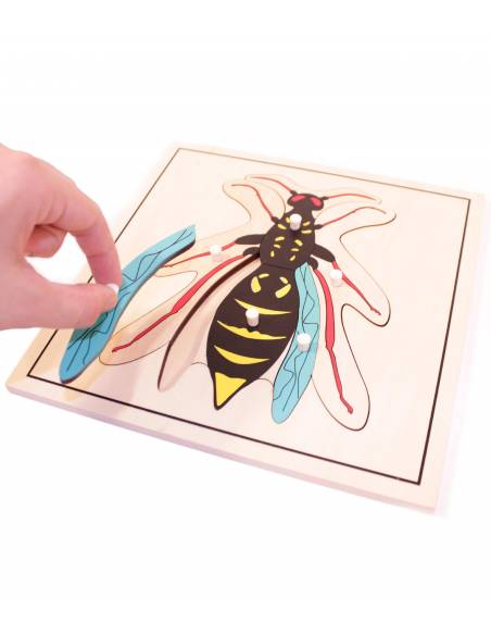 Puzzle madera - avispa
