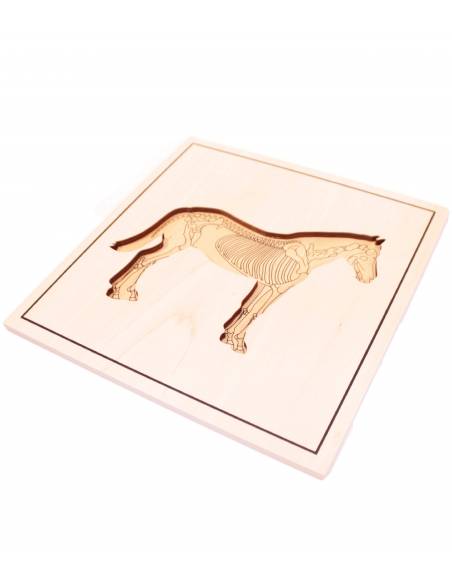 Puzzle Caballo (con esqueleto) Montessori para todos Botánica y Zoología