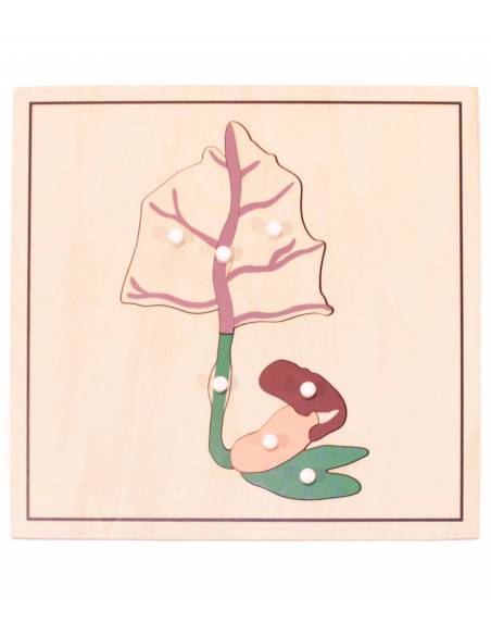 Pack 4 puzzles - crecimiento Semilla Montessori para todos Botánica y Zoología