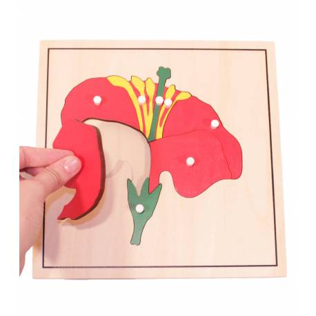Puzzle de madera - Flor Montessori para todos Botánica y Zoología 2