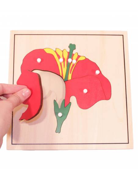 Puzzle de madera - Flor Montessori para todos Botánica y Zoología