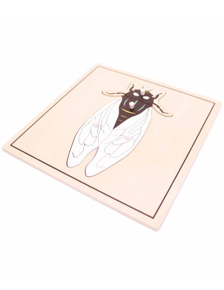 Puzzle mosca