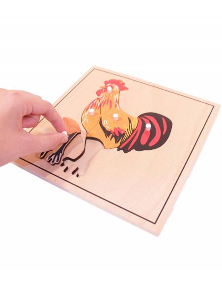 Puzzle de madera - Gallo Montessori para todos Botánica y Zoología