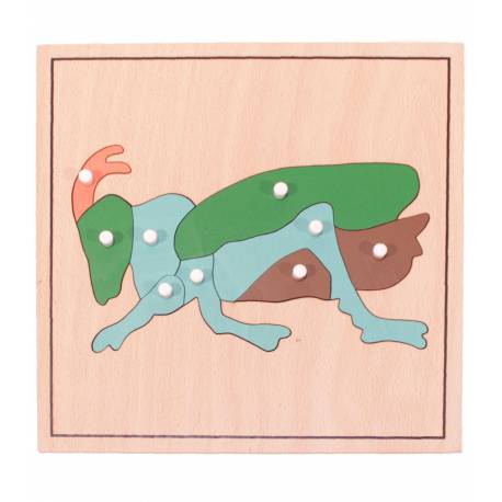 Puzzle de madera - Grillo Montessori para todos Botánica y Zoología