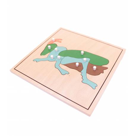 Puzzle de madera - Grillo Montessori para todos Botánica y Zoología